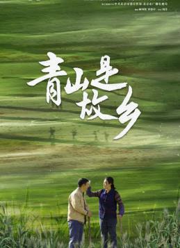 青山是故乡第04集