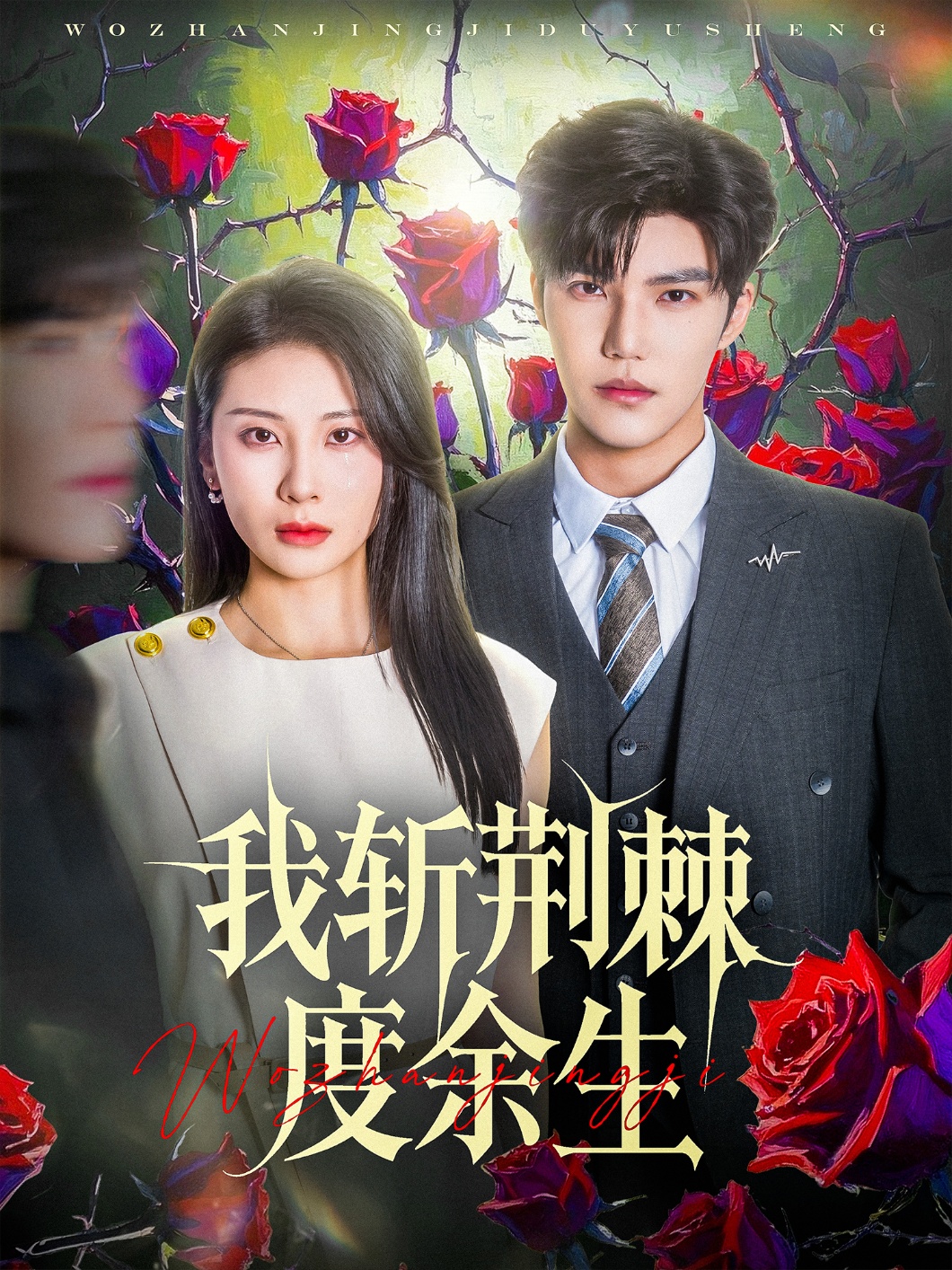 我斩荆棘度余生(全集)