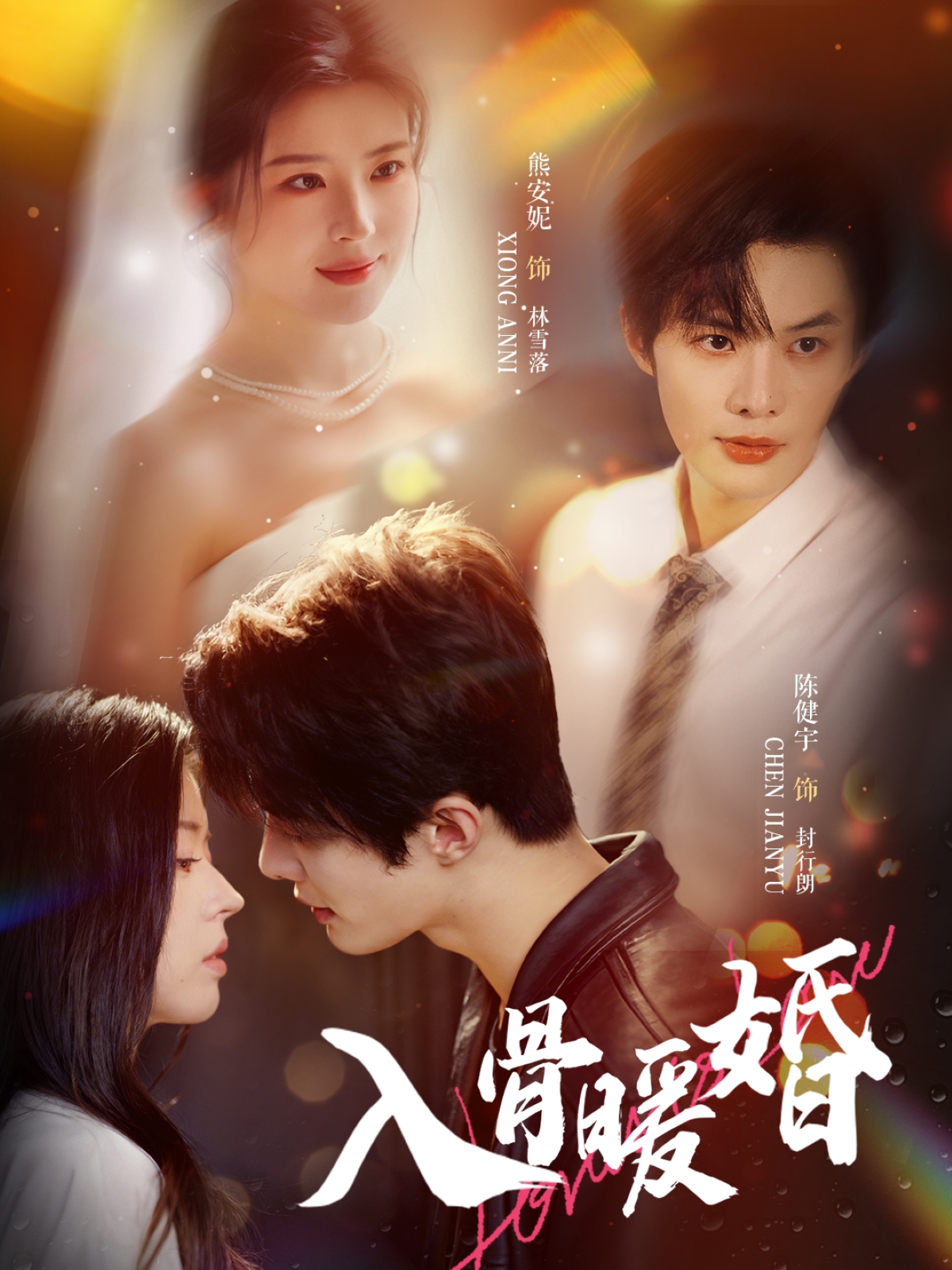 入骨暖婚(全集)