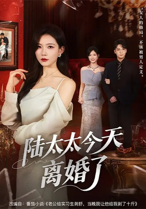 陆太太今天离婚了(全集)